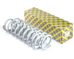 Coil springs VAZ 2121 rear