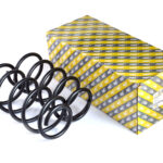 Coil springs Chevrolet Lacetti rear